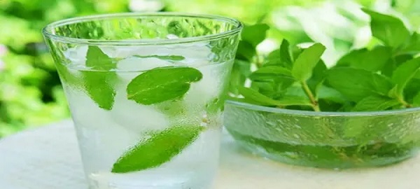 تصویر 3 از خرید و قیمت عرق نعنا دو آتیشه + فروش عمده